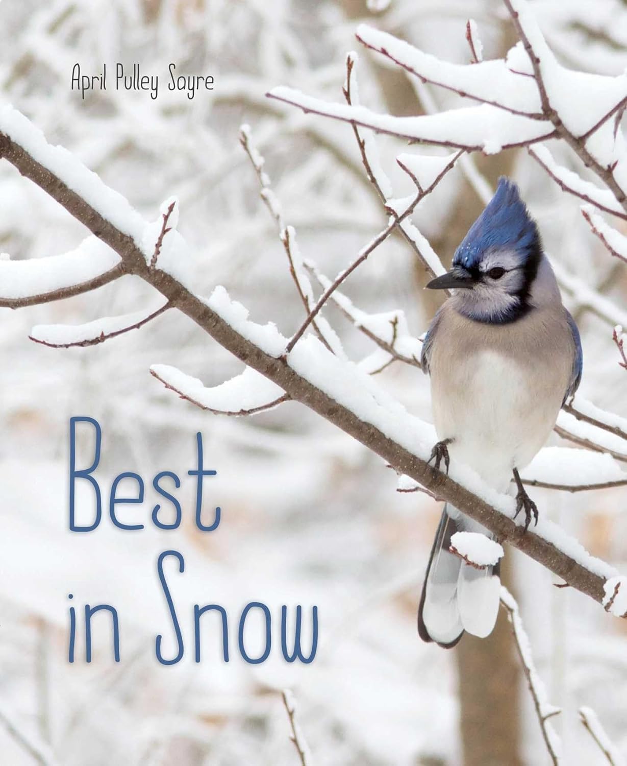 "Best in Snow" cover
